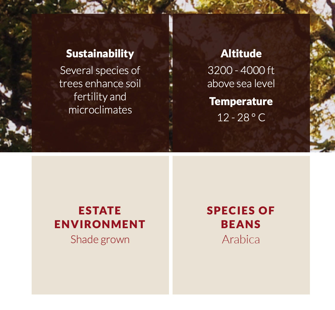 sustainability, altitude, estate environment, species of beans