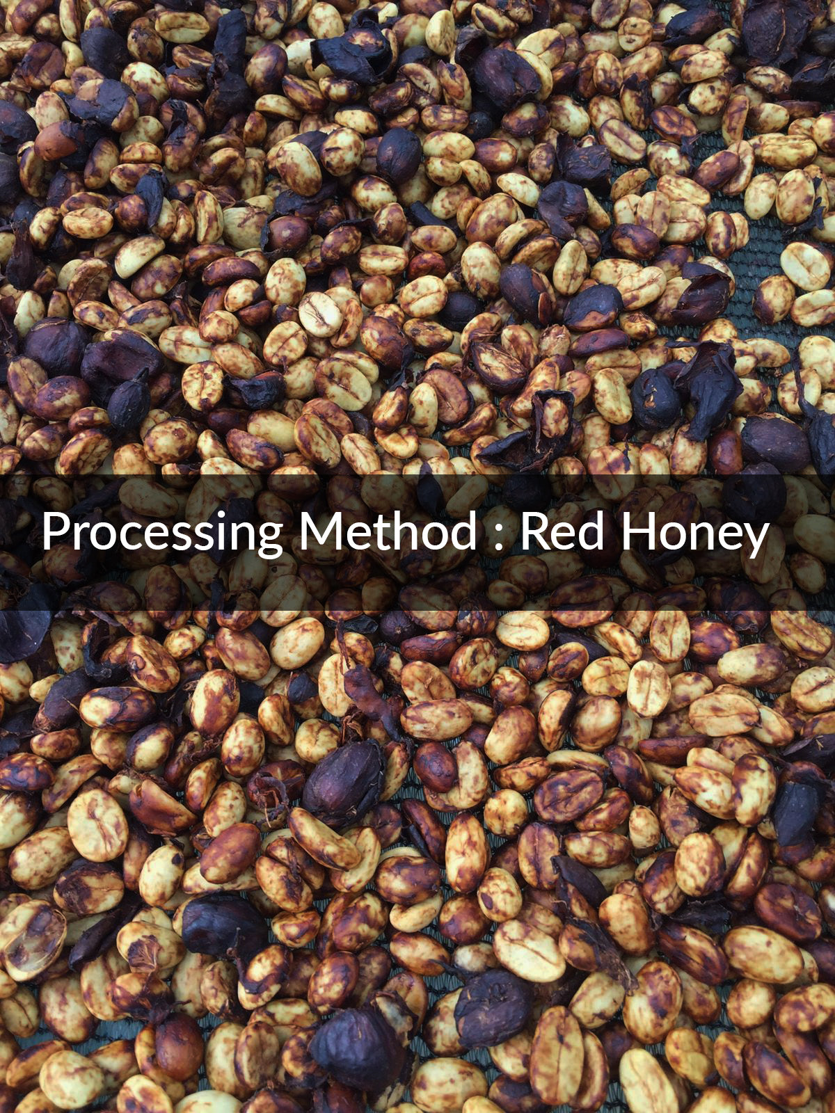 Coffee process method red honey